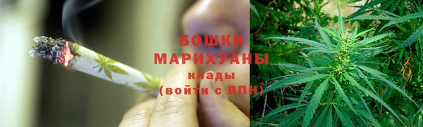 индика Арсеньев