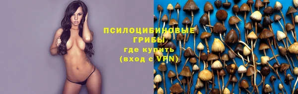 винт Баксан