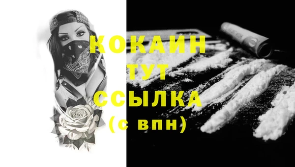 индика Арсеньев