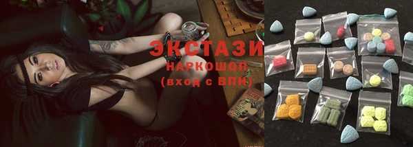 индика Арсеньев