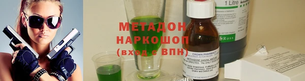 индика Арсеньев