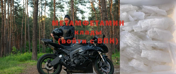 индика Арсеньев