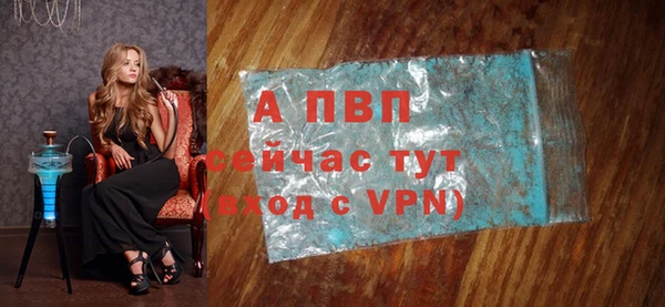 индика Арсеньев