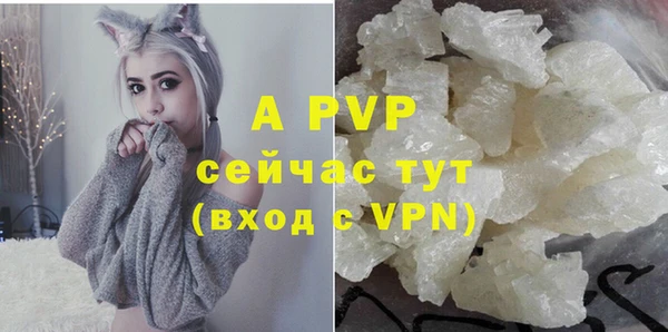 индика Арсеньев