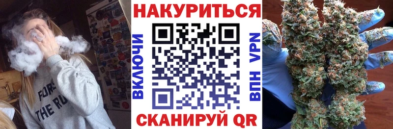Каннабис планчик  Иланский 